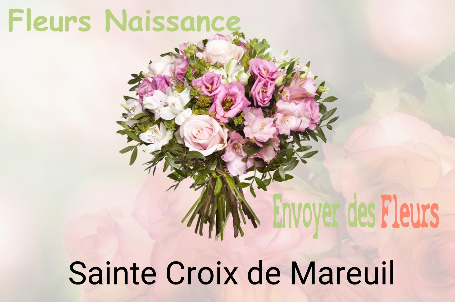 Bouquet de fleurs de naissance livré à Sainte-Croix-de-Mareuil